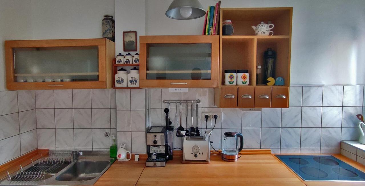 Sokolov Apartment Смедереве Екстер'єр фото